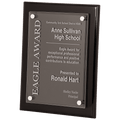 Black Piano Finish Floating Acrylic Plaque